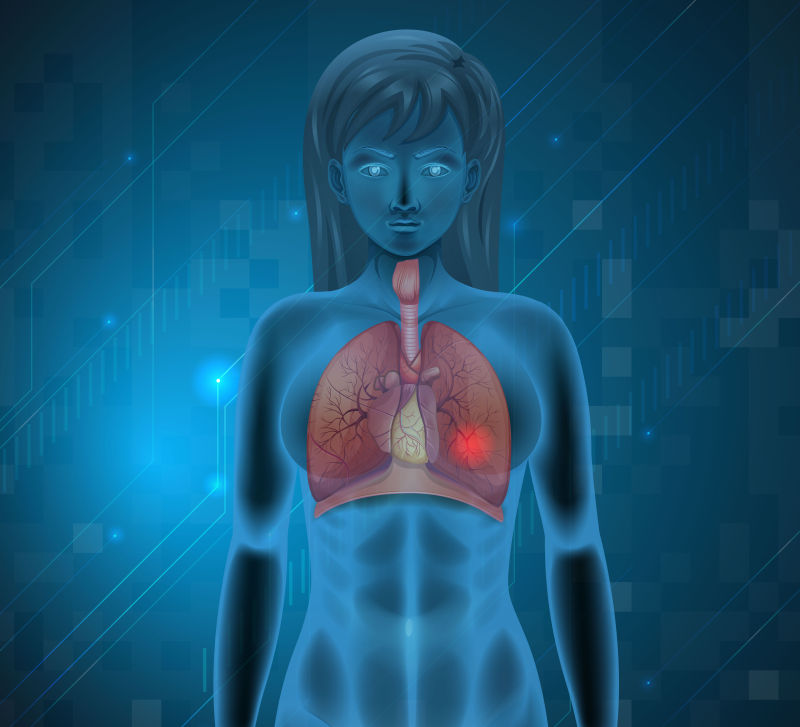 抽象人体呼吸系统的矢量插图