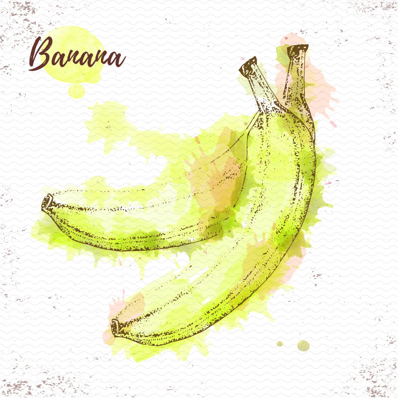 抽象矢量水彩香蕉插图