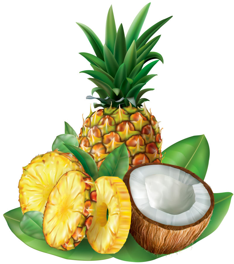 热带水果的矢量创意插图