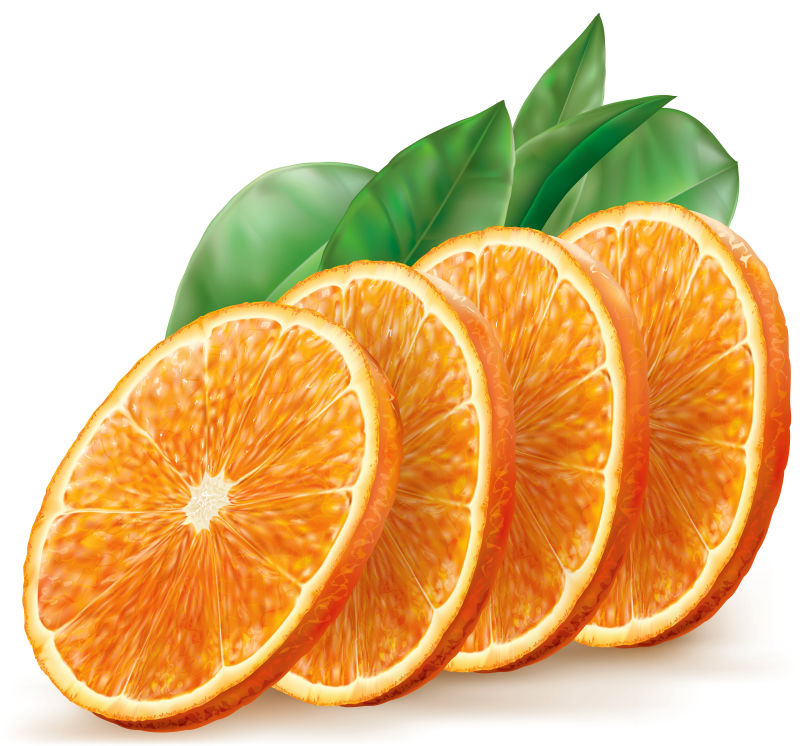 抽象橙子的矢量插图