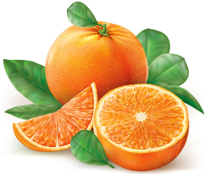 抽象矢量柑橘类水果的插图