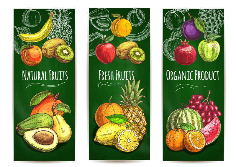 创意矢量新鲜水果的卡通插图横幅设计