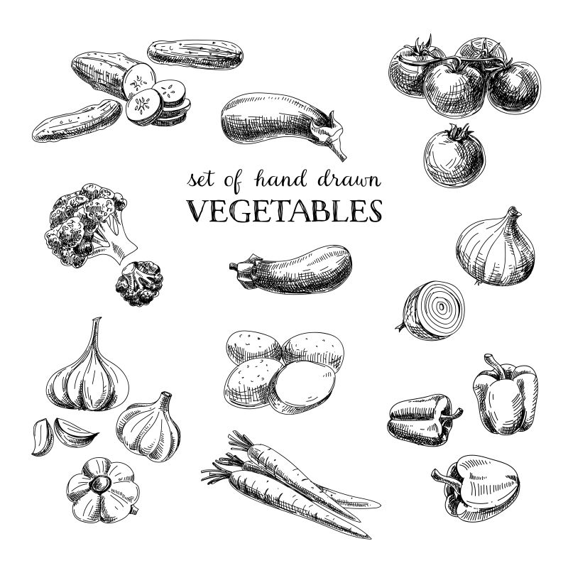 手绘蔬菜插图矢量设计