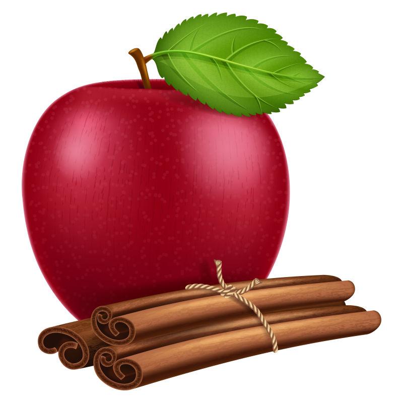苹果和肉桂矢量插图