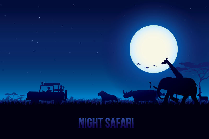 矢量非洲草原夜晚狩猎主题插图
