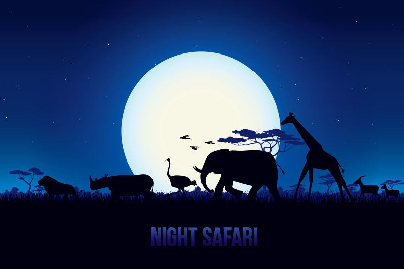 创意矢量夜晚行走的野生动物插图