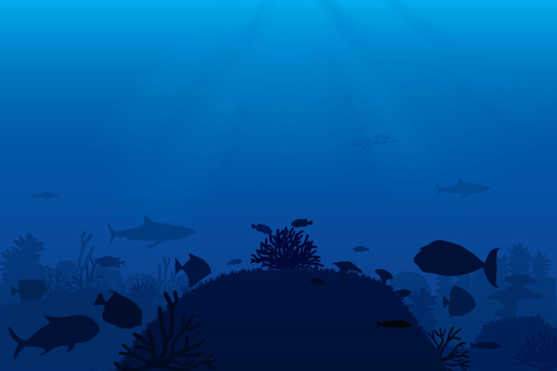 蓝色背景海底生物矢量图