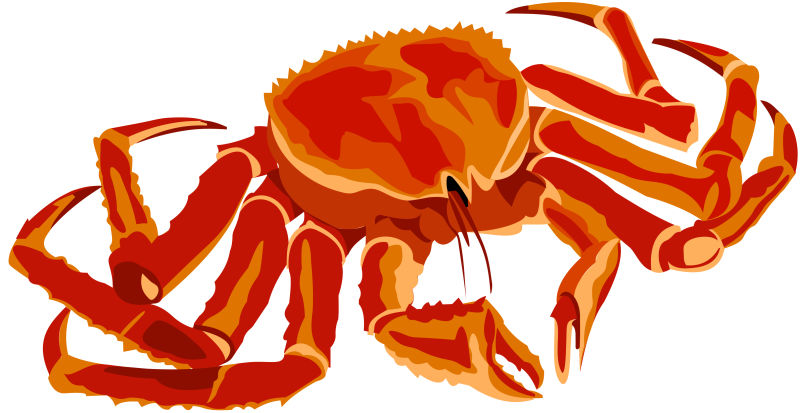 红螃蟹卡通矢量图