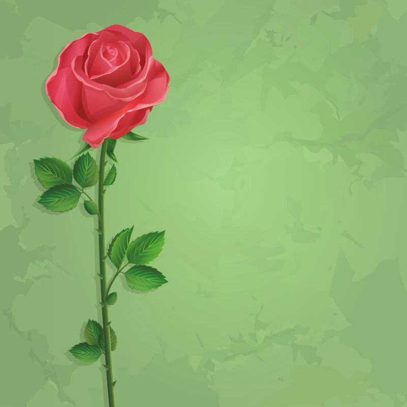 创意矢量玫瑰的插图