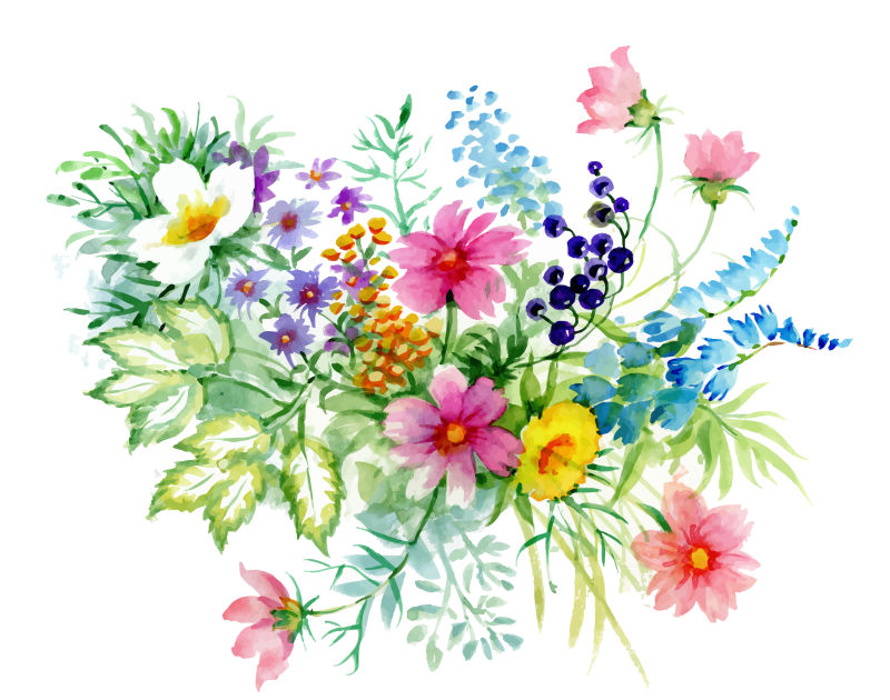 水彩花朵矢量插图