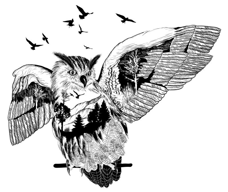 手绘猫头鹰概念插图矢量设计