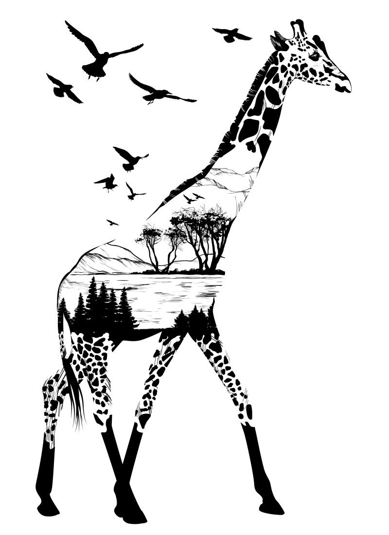 矢量手绘长颈鹿插图