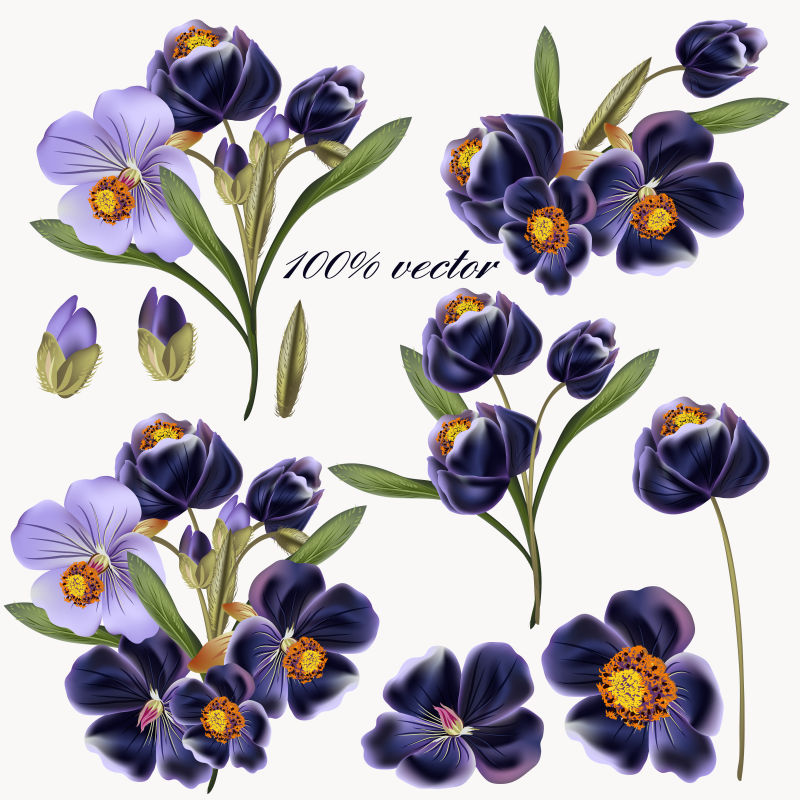 创意矢量手绘美丽的紫色花卉