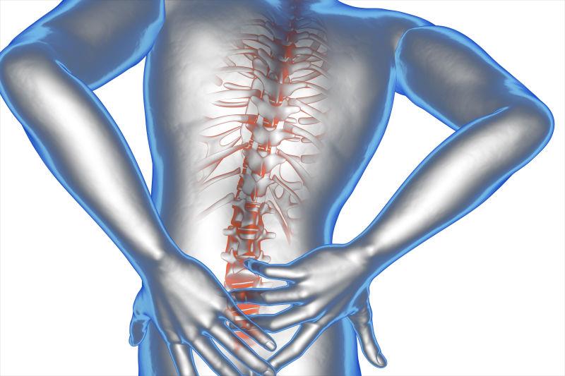 腰椎疼痛人的3D人体透视