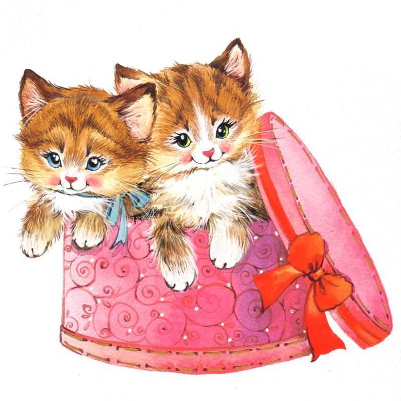 礼物盒里的两只可爱猫咪