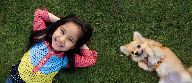躺在草地上的小女孩与狗狗