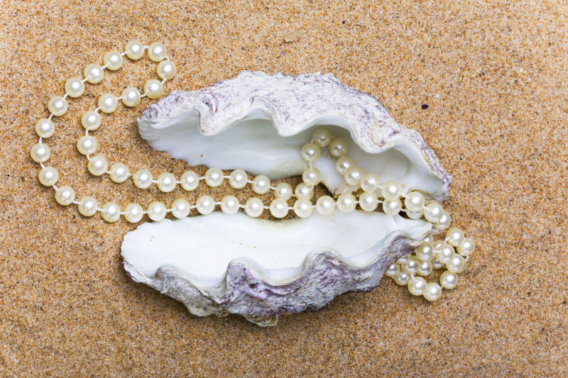 沙滩上彩色贝壳中的的珍珠项链