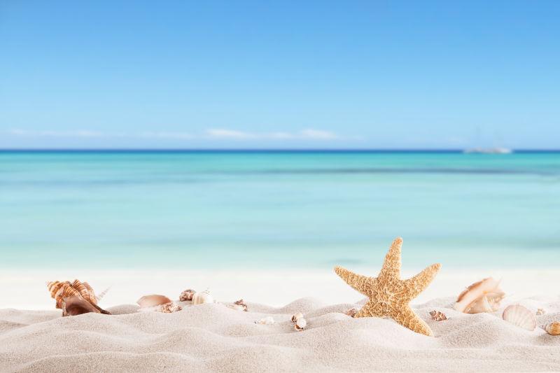 白色沙滩上的海星