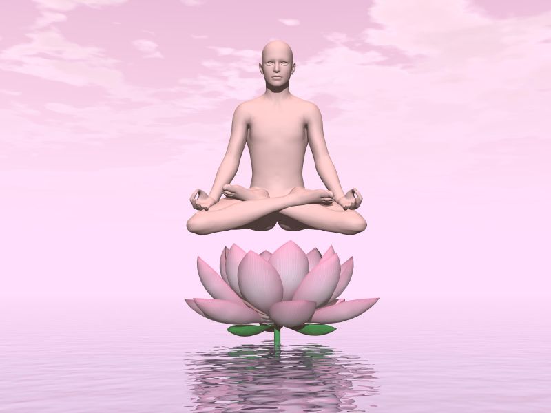 粉色背景上在粉色莲花上冥想的3D人物
