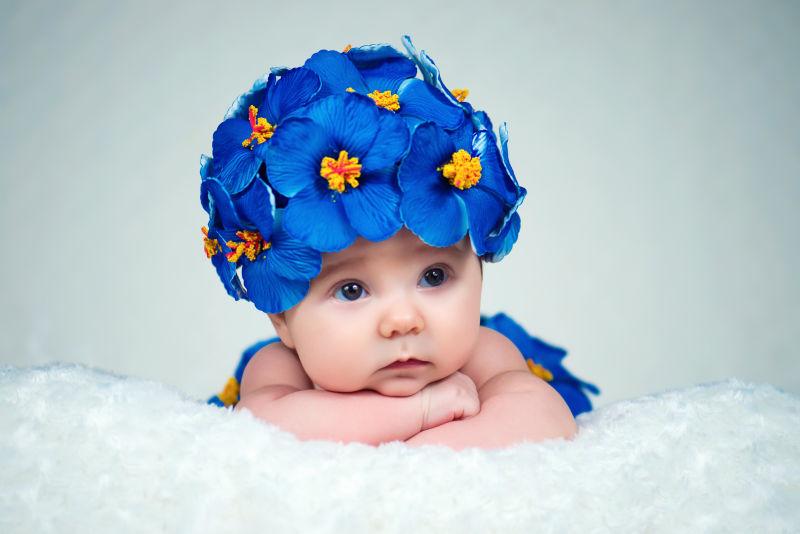 一朵蓝色花苞的新生少女樱草