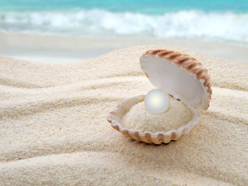 海滩上放在贝壳里的珍珠