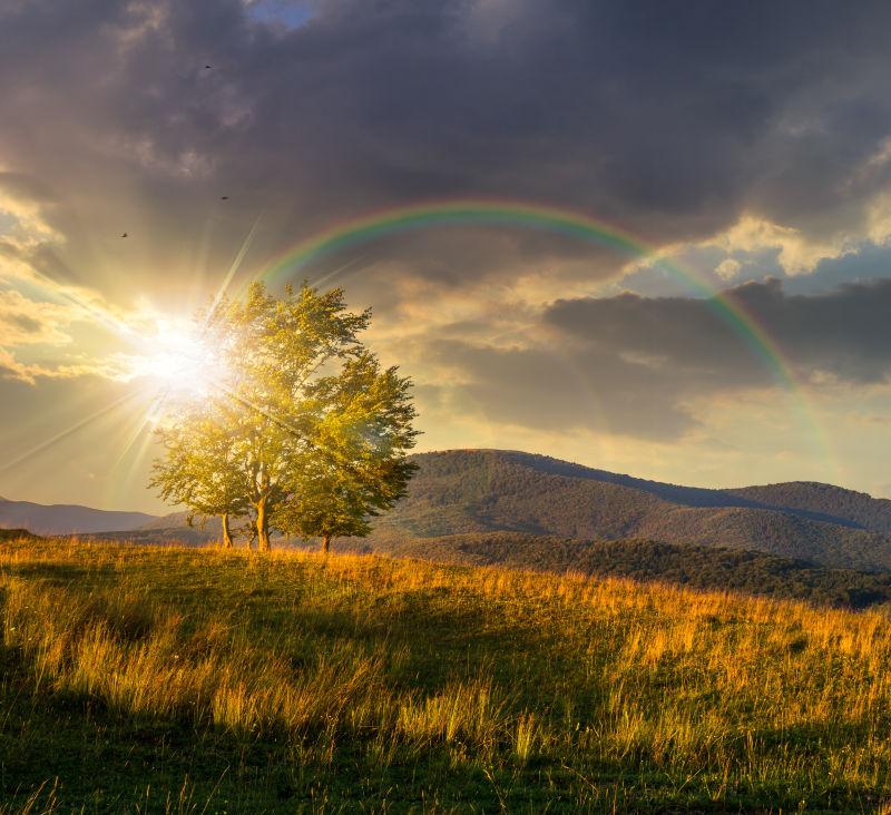 夕阳下的山坡草甸上的彩虹