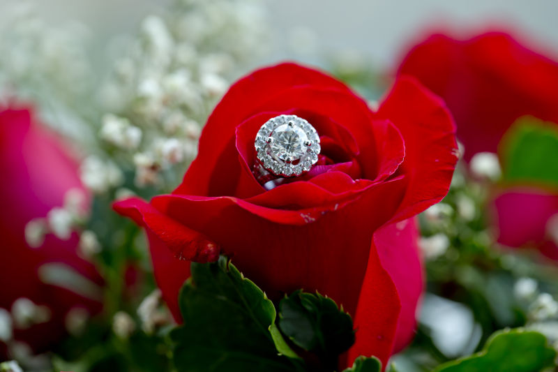 玫瑰花中一枚精致的钻戒