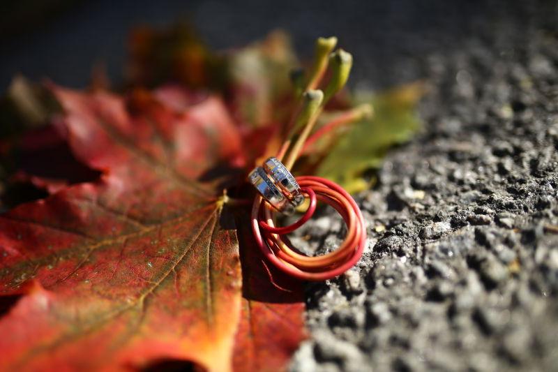 秋天用枫叶绑结的结婚戒指