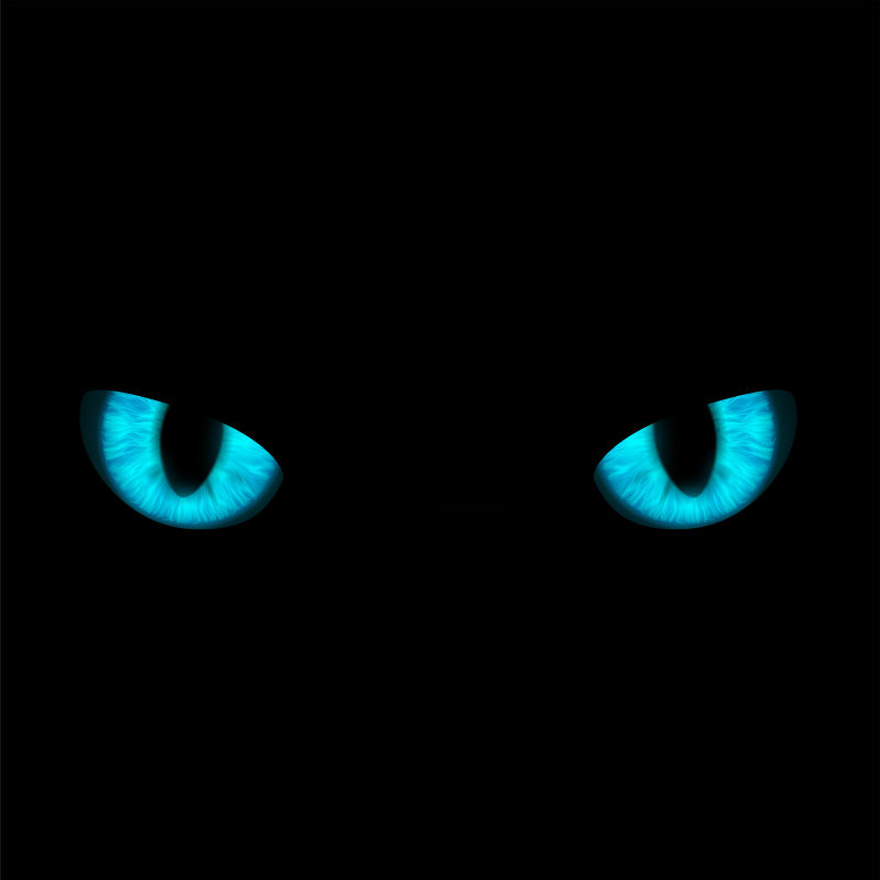 黑色背景上的蓝色猫眼