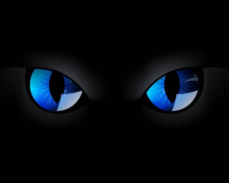黑夜中蓝猫眼睛的矢量插图