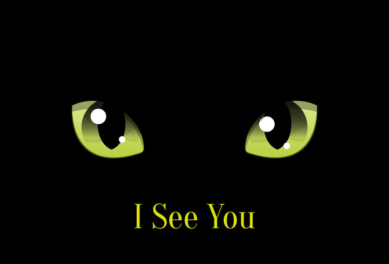 黑色背景下的绿色猫眼