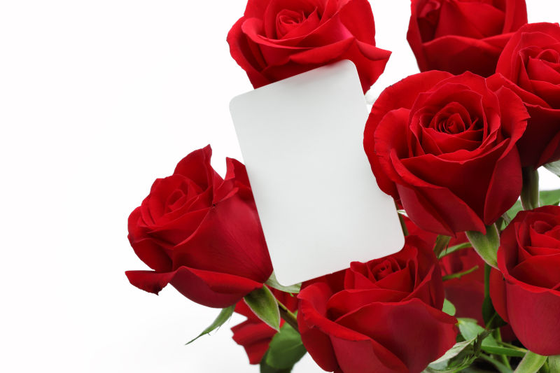 玫瑰与白色卡片