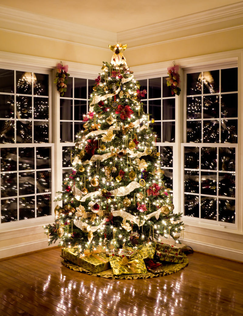 室内精致的圣诞树
