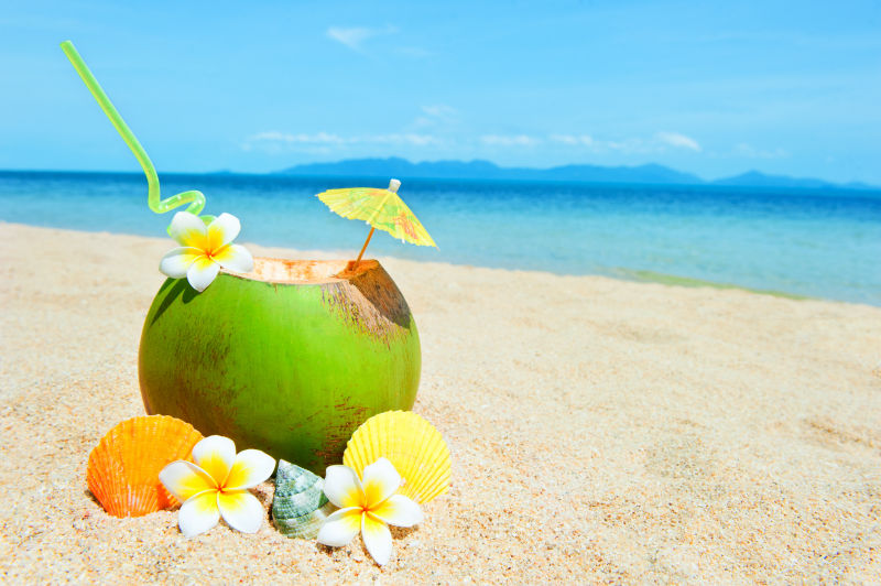 海岸线上的椰子