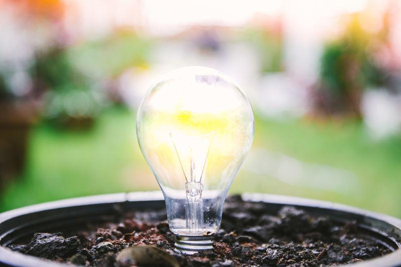 节能灯泡灯泡在土壤中生长的概念