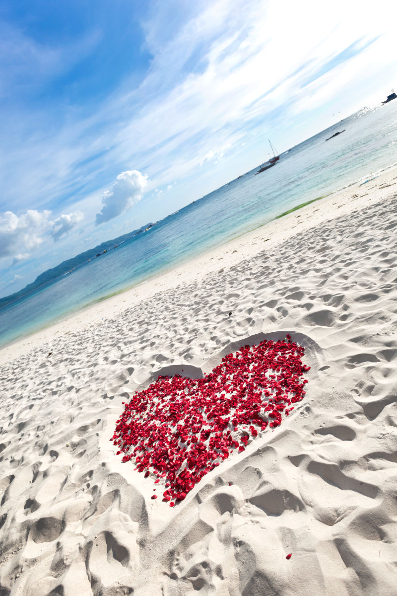 热带沙滩上玫瑰花瓣的心