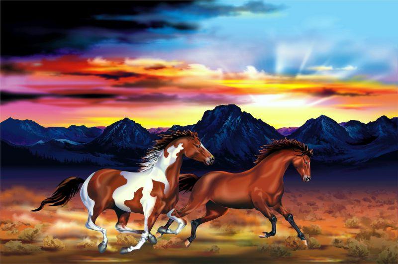 夕阳背景中奔驰的两匹野马