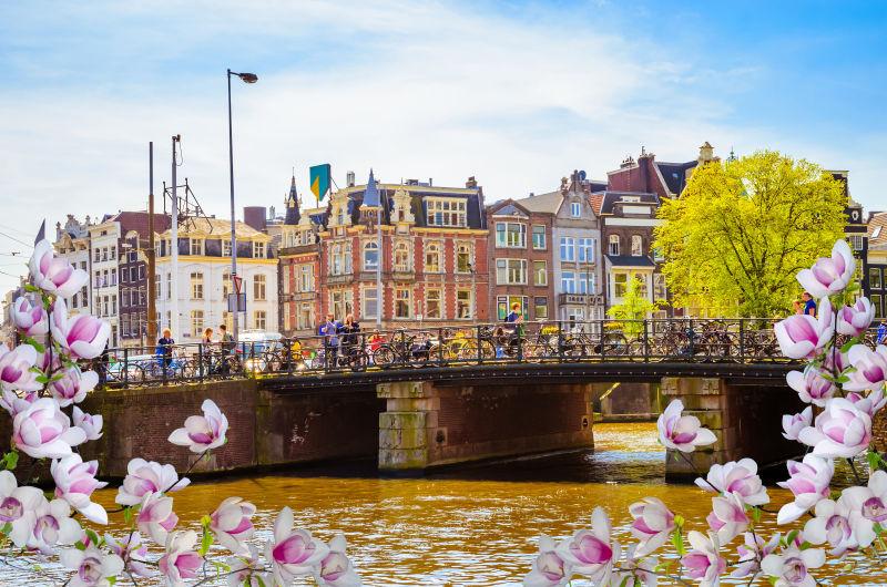 荷兰阿姆斯特丹的传统建筑和桥