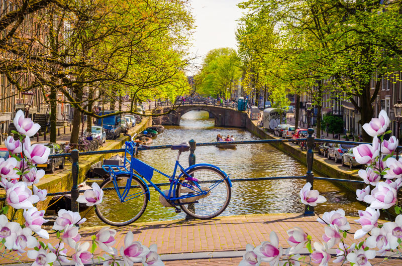荷兰阿姆斯特丹桥和自行车