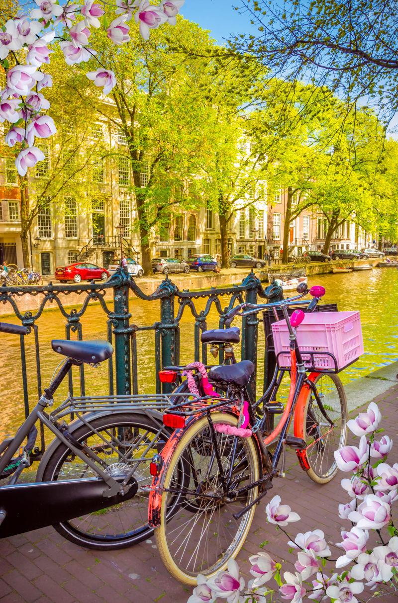 荷兰阿姆斯特丹桥上自行车