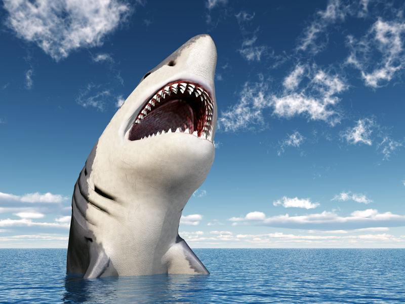 浮出海面张着嘴的大白鲨