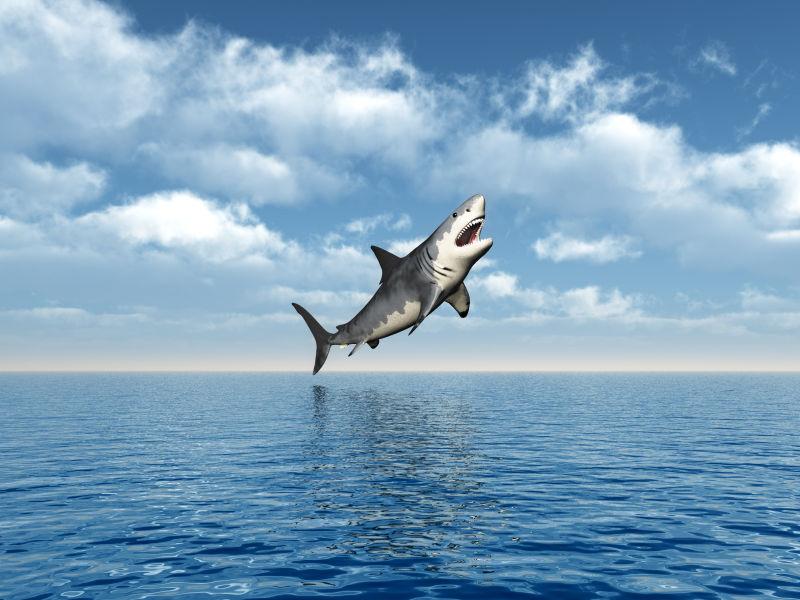 跳跃出海面的大白鲨