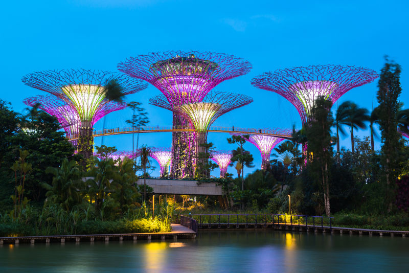 新加坡的超级树林湾花园