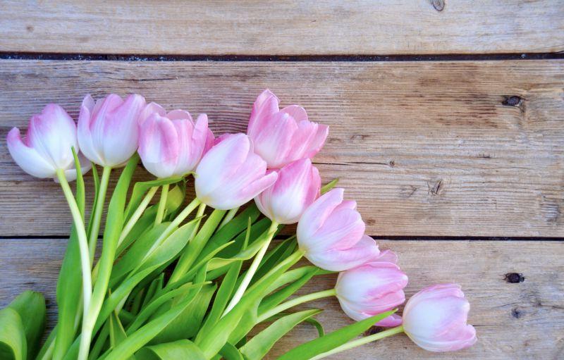 木桌上的粉色郁金香花束