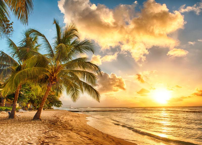 落日下长满椰子树的白色海滩