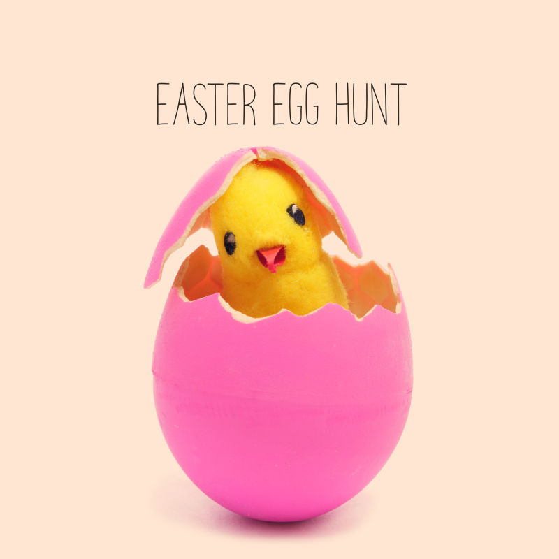 复活节彩蛋和一只从粉红色鸡蛋里出来小鸡