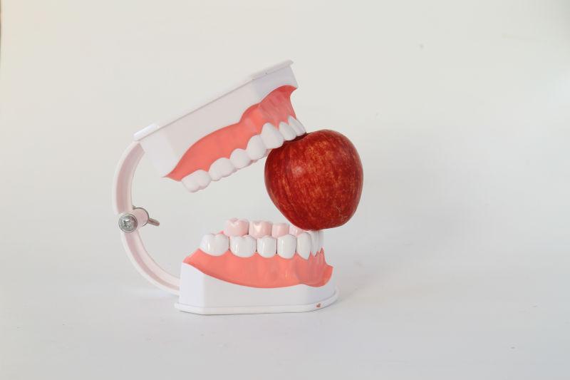 灰色背景下咬着苹果的牙齿模型
