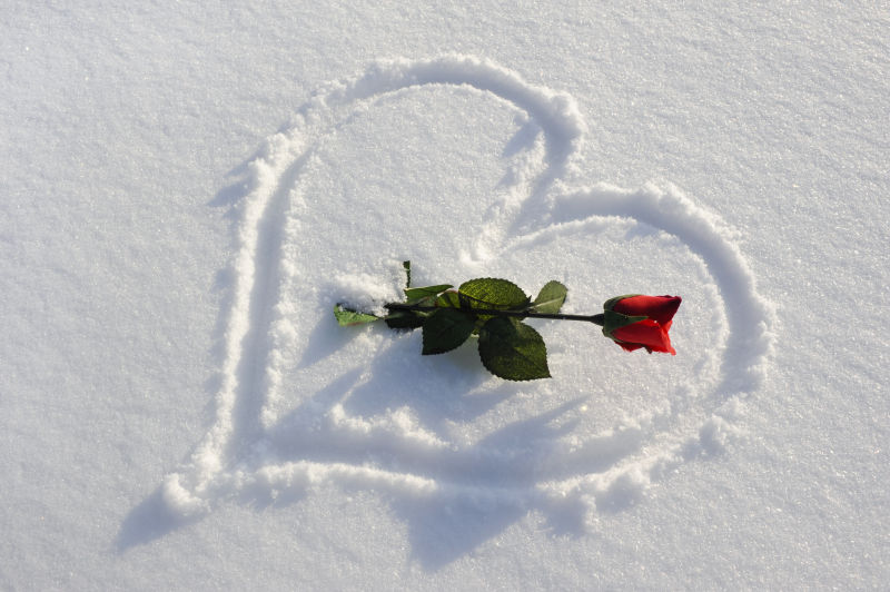 雪地上的爱心形状和玫瑰
