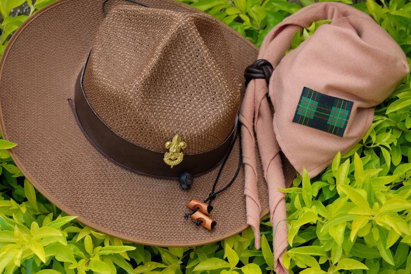 植物上的草帽和领巾