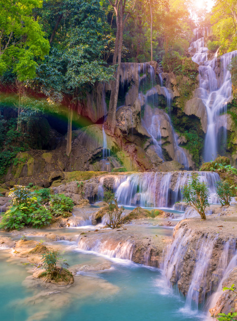 阳光下丛林瀑布前的彩虹